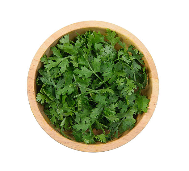 fresh coriander leaves in wooden bowl on white backg Top view of fresh coriander leaves in wooden bowl on white background. parsley stock pictures, royalty-free photos & images