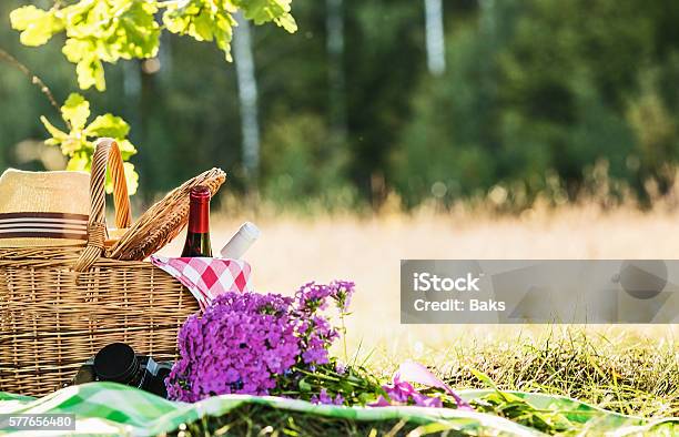 Picnic With Red And White Wine Stock Photo - Download Image Now - Picnic, Picnic Basket, Wine