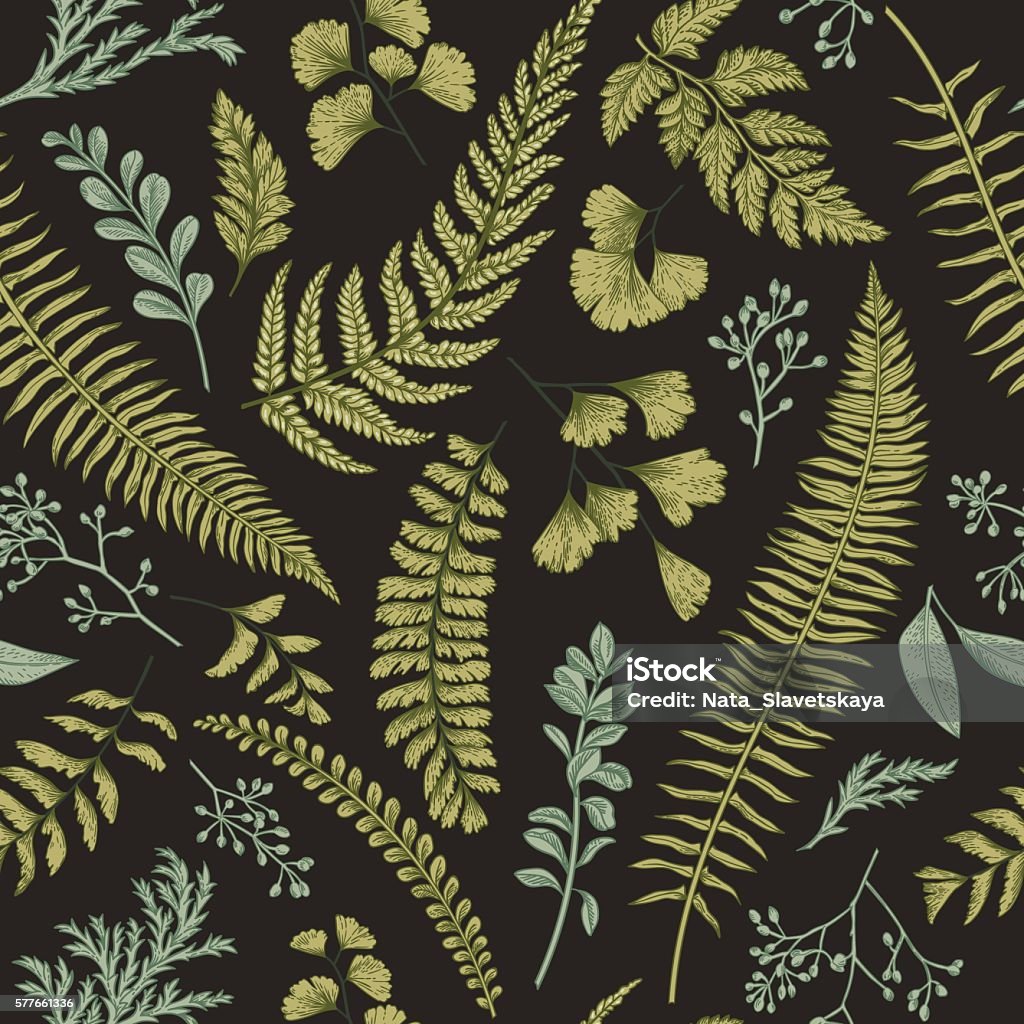 Seamless floral pattern with herbs and leaves. Seamless floral pattern in vintage style. Leaves and herbs. Botanical illustration. Boxwood, seeded eucalyptus, fern, maidenhair. Vector design elements. Fern stock vector