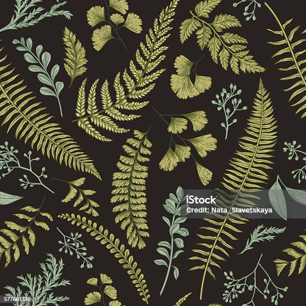 Seamless Floral Pattern With Herbs And Leaves Stock Illustration - Download Image Now - Fern, Seamless Pattern, Leaf