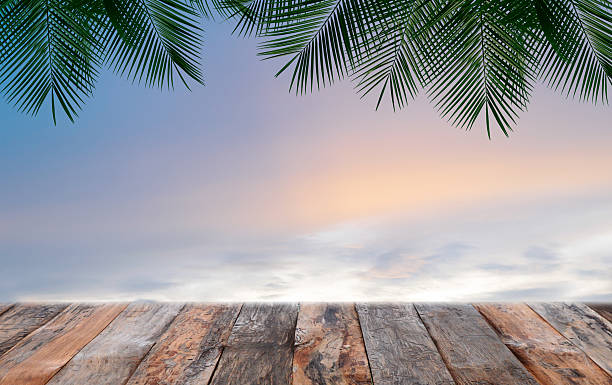 istock Old planks with green plam leaves and sky 577661870