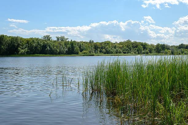 istock The river shore in sunny summer day 577932978