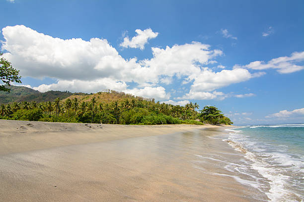 istock paradise at bali beach, indonesia 577934356