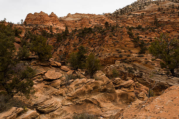 istock Zion National Park Rock Formations 577935206
