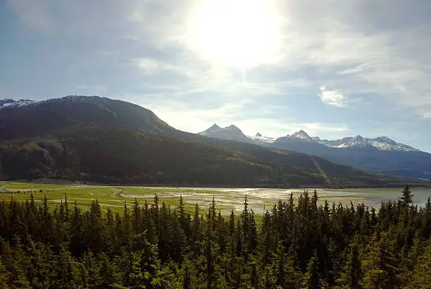 Picture of mountain range, with estuary and forest in front.