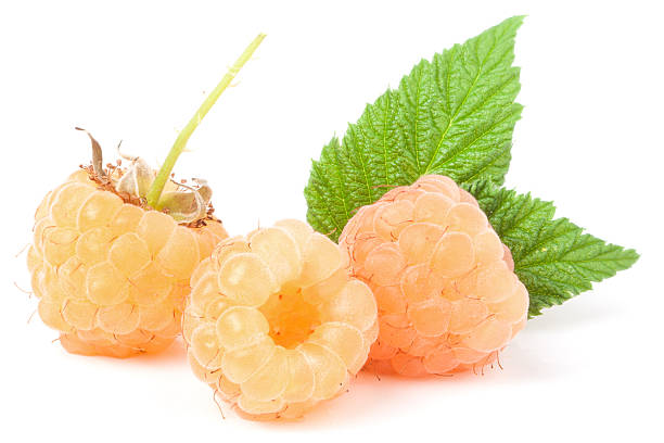 istock yellow raspberries with leaf isolated on white background macro 577937288