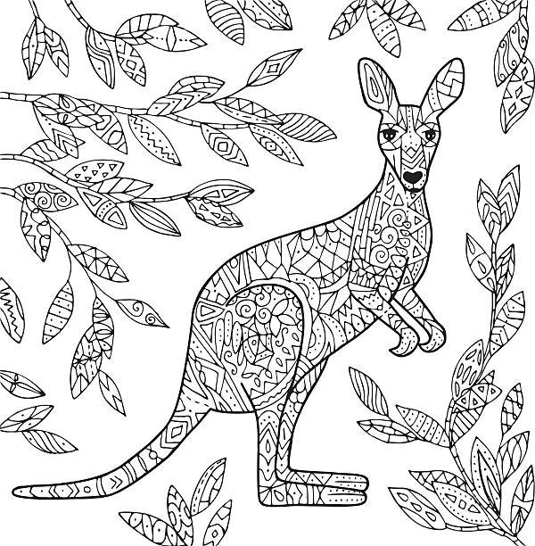 ilustracja kangura. - coloring book coloring book australia stock illustrations
