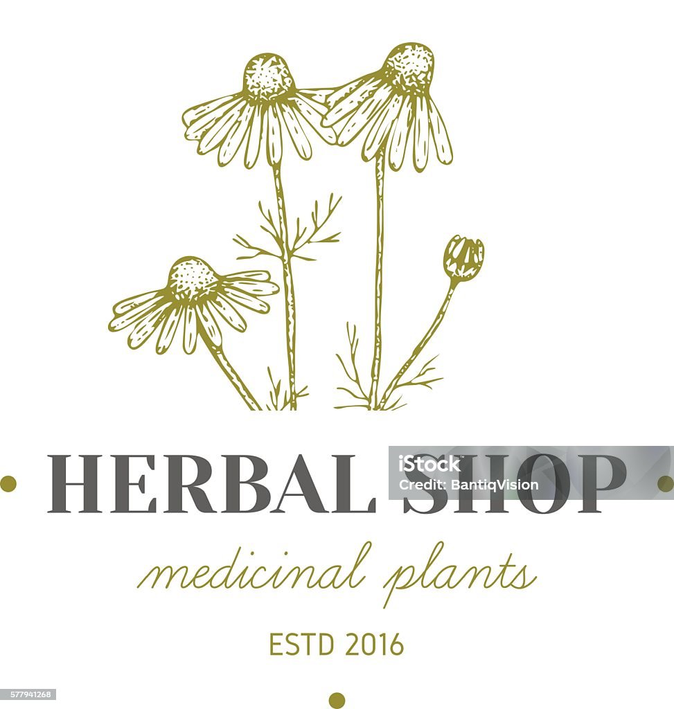 Herbal logo. Vector vintage hand drawn herb logo. Alternative medicine, ayurveda, pharmacy, homeopathy, beauty shop, holistic center logo, badge, emblem. Alternative Medicine stock vector