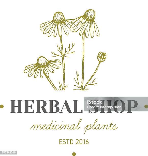 Herbal Logo Stock Illustration - Download Image Now - Alternative Medicine, Aromatherapy, Ayurveda