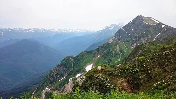 The mountain resort Rosa Khutor, Krasnaya Polyana, summer in June 2016, the top station of the cable car forest reserve