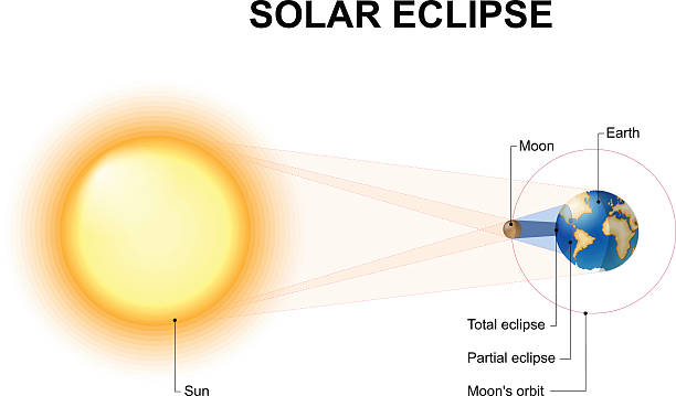 illustrazioni stock, clip art, cartoni animati e icone di tendenza di eclissi solare  - phase image mri scan science nobody