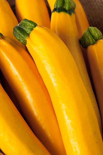 istock Raw Organic Yellow Zucchini Squash 577945776