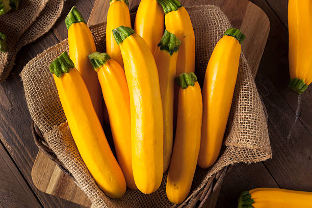 courgettes jaunes biologiques crues - crookneck squash photos et images de collection