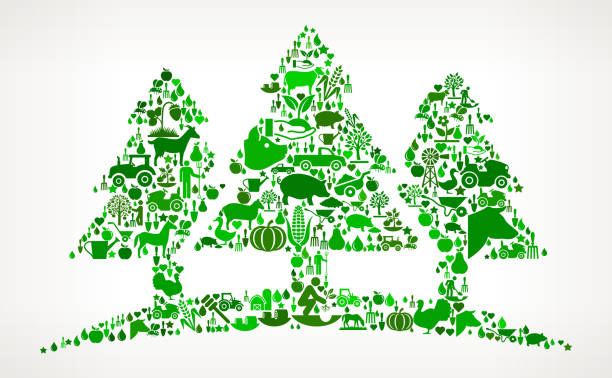 Three Trees Farming and Agriculture Green Icon Pattern Three Trees Icon . The green vector icons create a seamless pattern and include popular farming and agriculture. Farm house, farm animals, fruits and vegetables are among the icons used in this file. The icons are carefully arranged on a light background and vary in size and shades of green color. bull pine stock illustrations