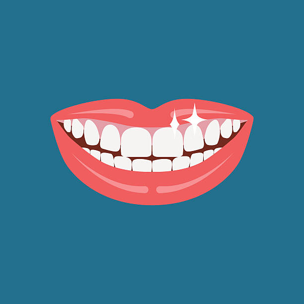 Dentist smile. Vector dentist smile. teeth stock illustrations