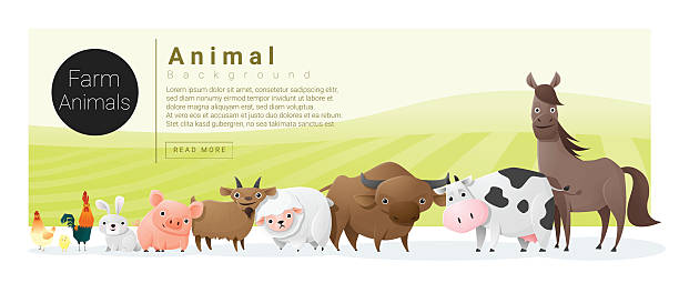 Cute Animal Family Background With Farm Animals 2 Stock Illustration -  Download Image Now - Farm, Animal, Chicken - Bird - iStock