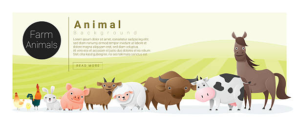 Cute Animal Family Background With Farm Animals 2 Stock Illustration - Download Image Now - Farm, Animal, Chicken - Bird - iStock Cute Animal Family Background With Farm Animals 2 Stock Illustration - Download Image Now - Farm, Animal, Chicken - Bird - iStock