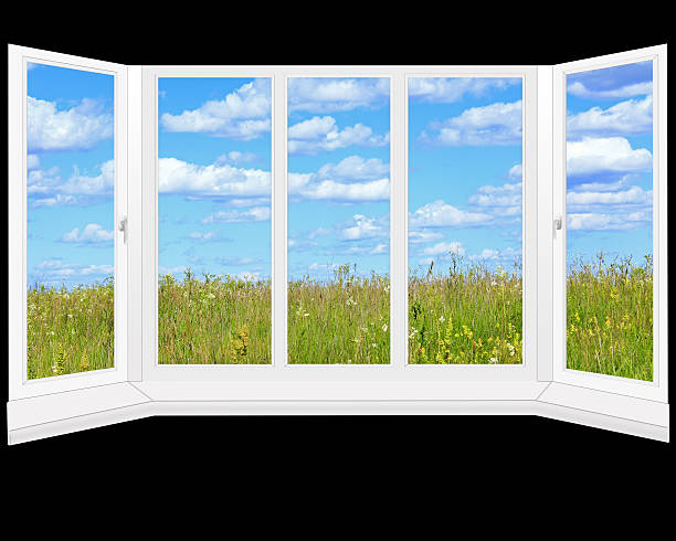 A large green field. Sky. Grass. Outdoor. Field. Cloudy