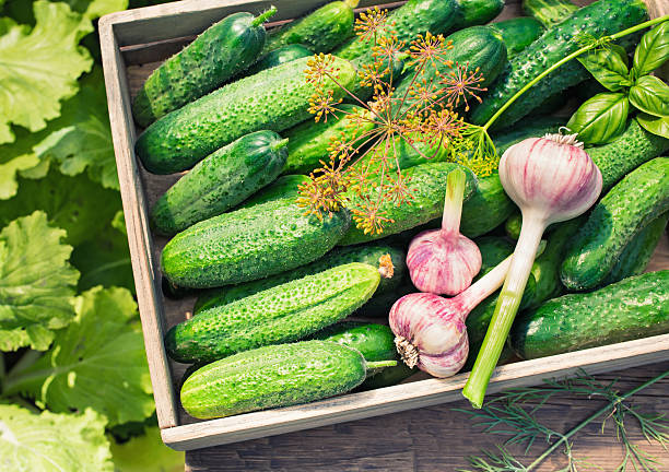 istock Cucumbers in wooden box 577949882