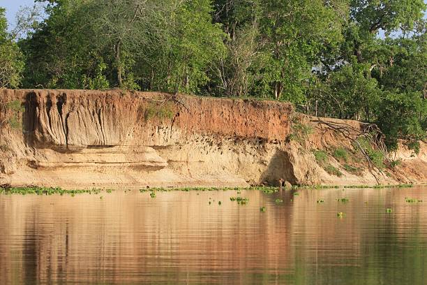 Selous Game Reserve, Tanzania