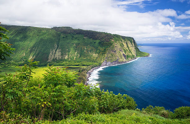 waipio valley view on big island hawaii - hamakua coast imagens e fotografias de stock