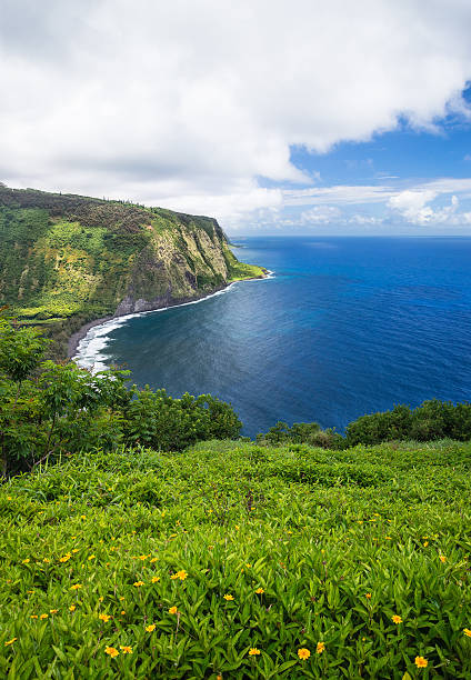 istock Waipio Valley View on Big Island Hawaii 577952578
