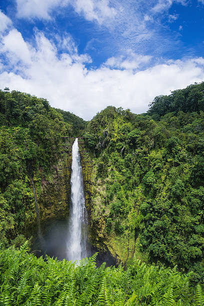 istock Akaka Falls State Park Big Island Hawaii 577952674