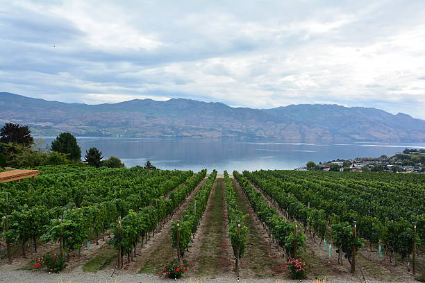 istock Okanagan Valley British Columbia 577955520