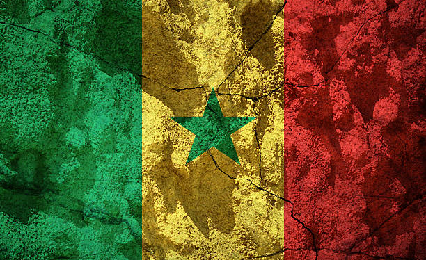 senegal-flagge auf stein - senegal flag dirty africa stock-fotos und bilder