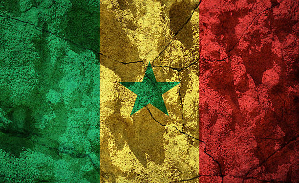 bandeira do senegal na pedra - senegal flag dirty africa - fotografias e filmes do acervo