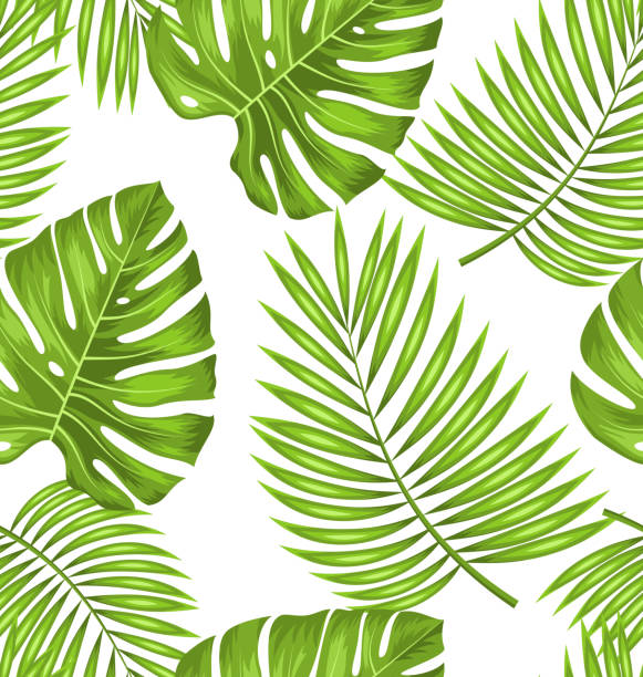 illustrazioni stock, clip art, cartoni animati e icone di tendenza di carta da parati senza cuciture con foglie tropicali verdi per campione di tessuto - cheese plant leaf tree park