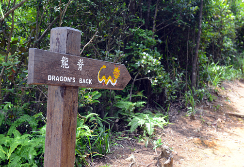 Wooden Trail direction signs on hiking trail to Dragon's Back in Hong Kong, in green tropical island background