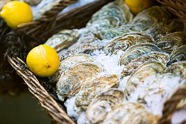 Fresh oysters in wooden basket on market place