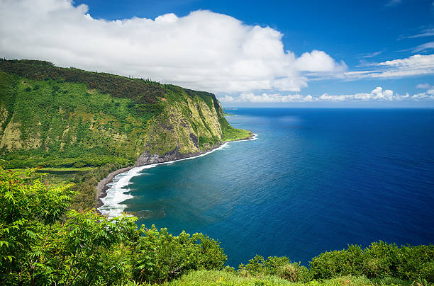 waipio valley view on big island hawaii - hamakua coast imagens e fotografias de stock