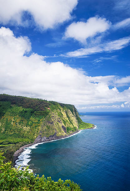 istock Waipio Valley View on Big Island Hawaii 577959050
