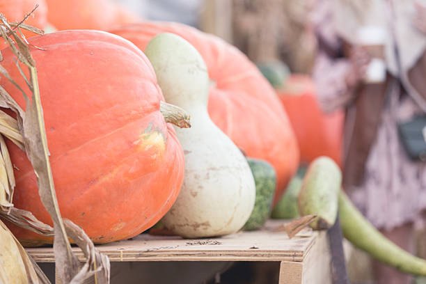 istock Fall Display of Pumpkins, Corn and Gourds 577959574