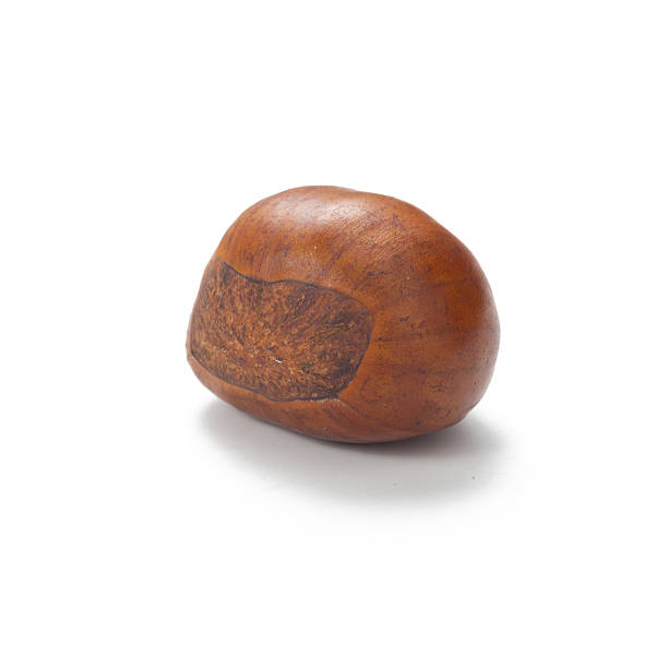 istock close up of fresh chestnut isolated on white background 577961428