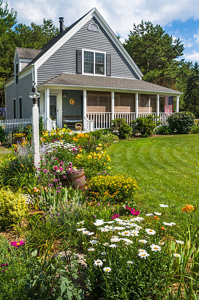 Cape Cod Home Garden A summer flower garden with an array of day lilies, daisies,russian sage, liatris and coreopsis grows along a driveway leading to a small Cape Cod home. day lily photos stock pictures, royalty-free photos & images