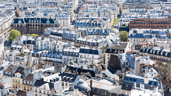 Aerial view of Paris roofs. View from Notre Dame
