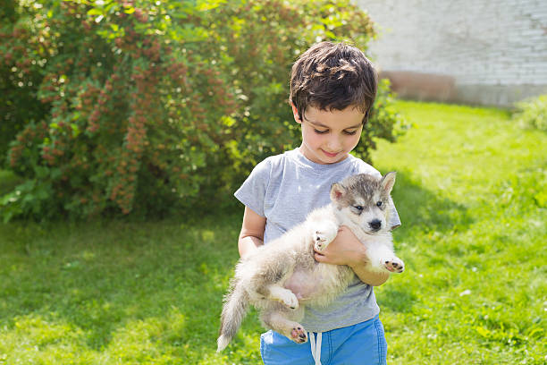 istock Cute little boy holds on a hands a husky puppy 577962374