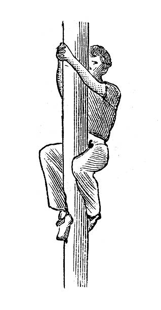 illustrazioni stock, clip art, cartoni animati e icone di tendenza di illustrazione antica di sport ed esercizi: ginnastica artistica l'albero - victorian style engraved image image created 19th century animal