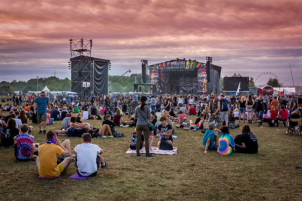 woodstock festival 2016, polonia - men editorial musician music foto e immagini stock