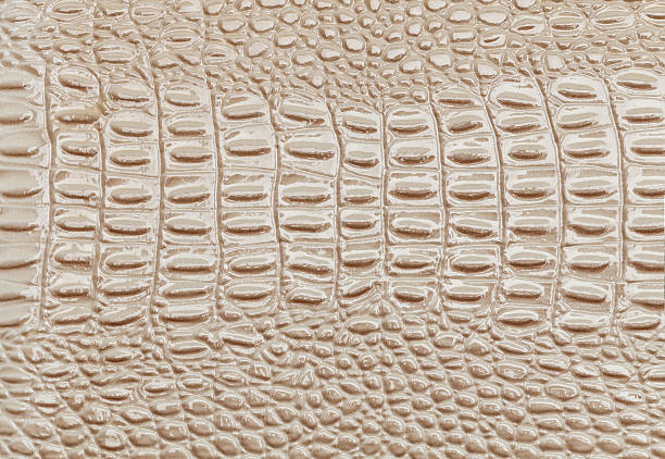 istock Beige leather texture background. Closeup photo. Reptile skin. 577969112