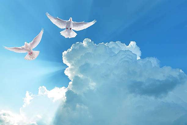 istock White Holy Doves flying in cloudy sky 577971178