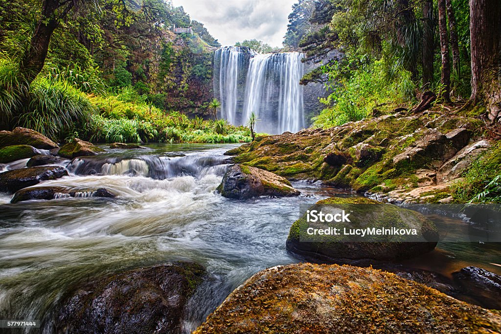 Chutes d’eau de Whangarei, Nouvelle-Zélande - Photo de Nouvelle-Zélande libre de droits