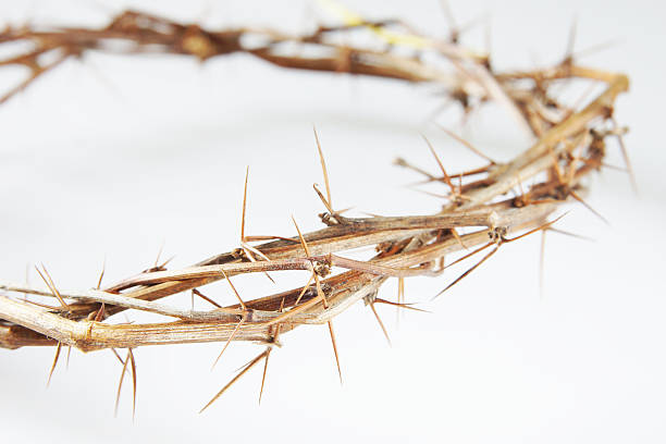 istock Crown of Thorns on light background 577971504