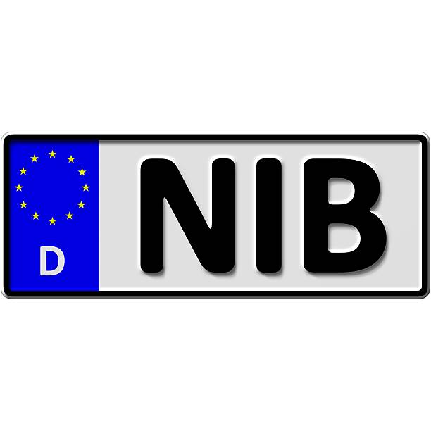 istock Suedtondern in Niebuell license plate number 577975290