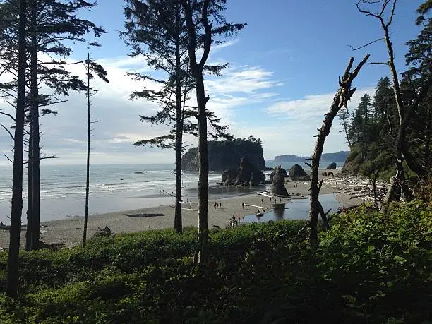 Beach in the Olympic peninsula, Washington state