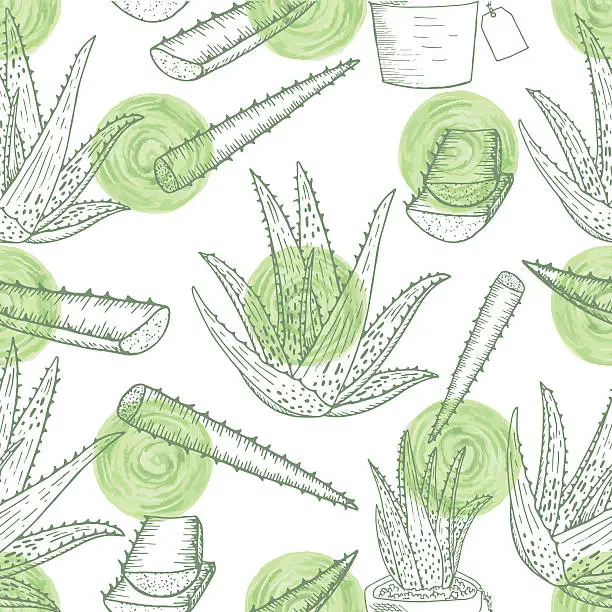 Vector illustration of Aloe vera pattern