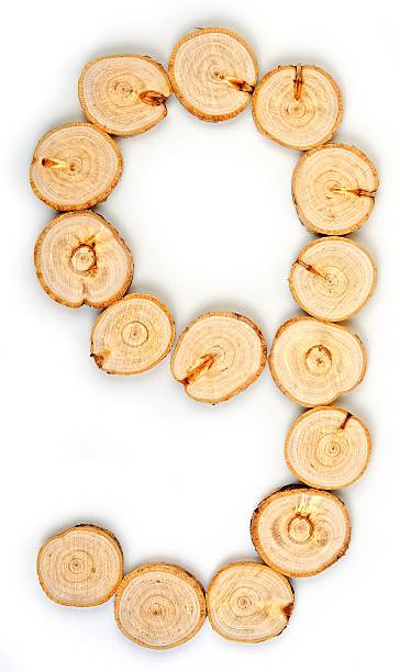 istock Number made of wood slice on a white background 577980300